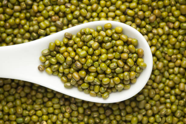 Green Moong Dal Calories - thenutritionfacts.com