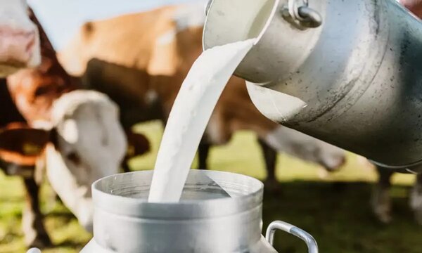 How Much Fat In Milk - thenutritionfacts.com