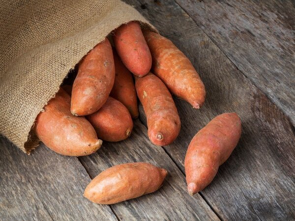 How Much Protein Does a Sweet Potato Have - thenutritionfacts.com