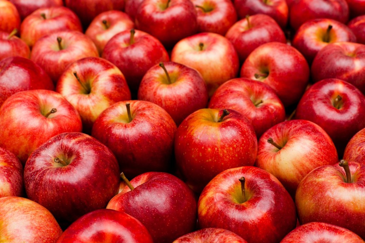 How Many Calories In An Apple - thenutritionfacts.com