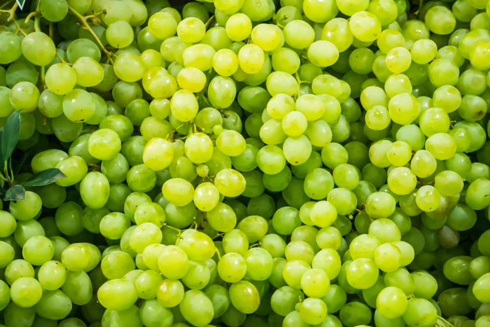 Grapes Nutrition : Are Grapes Good For You