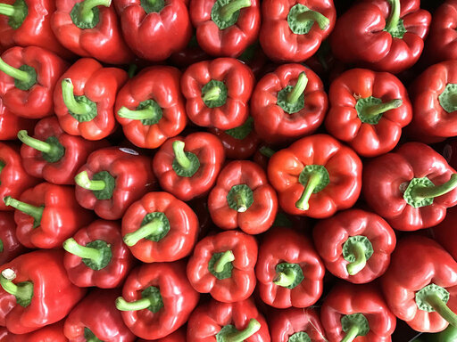 Red Bell Pepper Nutrition : Is Red Bell Pepper Good For You