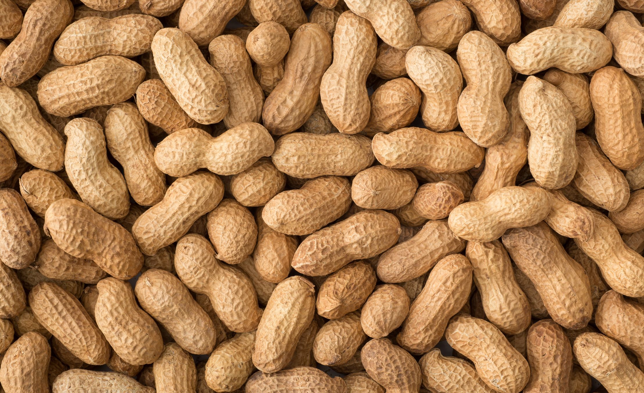 Nutrition In Peanuts : Are Peanuts Good For You